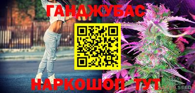 PSILOCYBIN Кандалакша