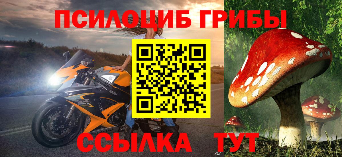 Галлюциногенные грибы прущие грибы Куйбышев