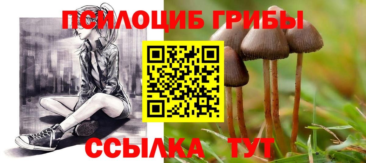 Куйбышев  Галлюциногенные грибы мицелий  Вход с VPN 